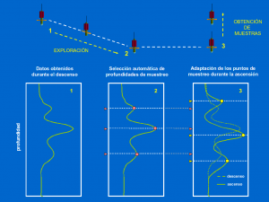 Esquema de funcionament de la sonda